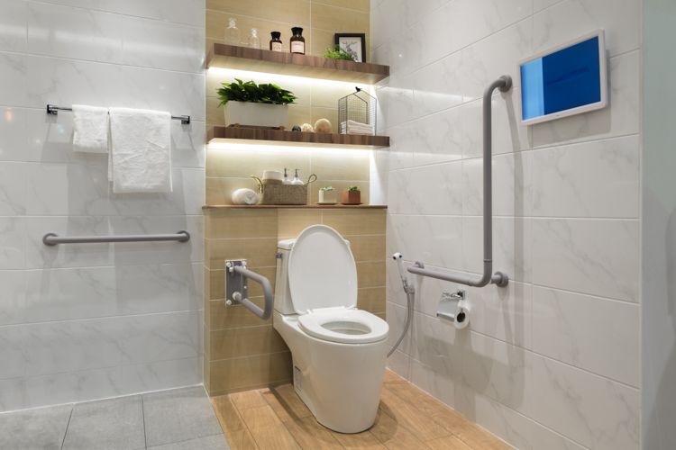 toilet safety frame