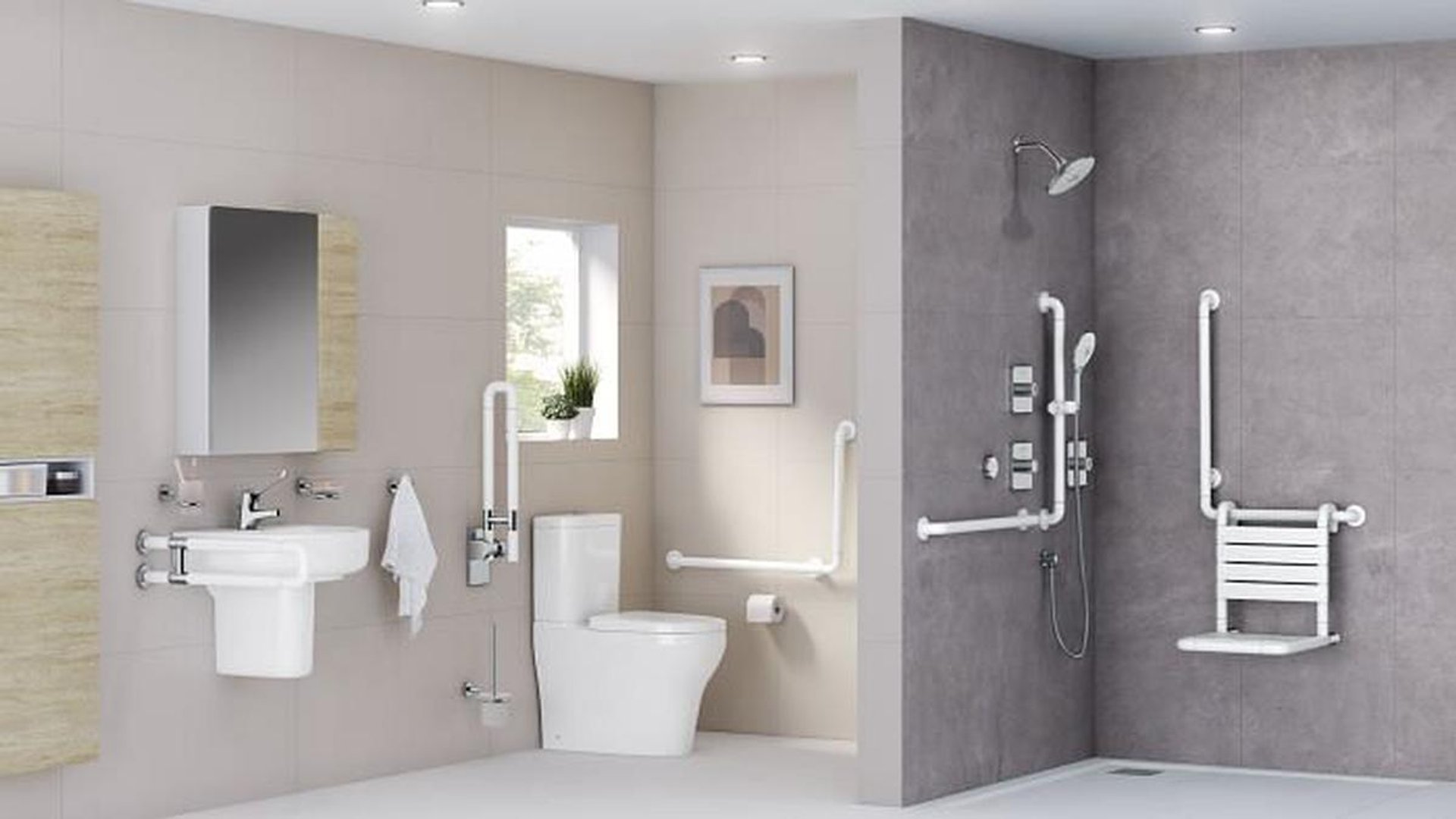 toilet safety frame